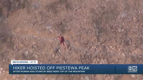 fd hiker rescued off piestewa peak after stung by bees