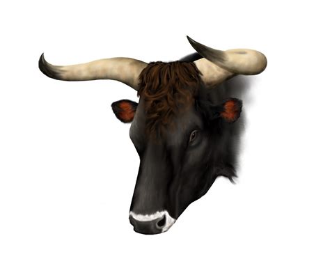 breeding  blog whats  charming   aurochs