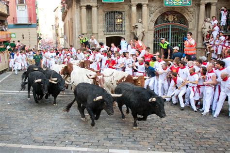 run   bulls  pamplonas san fermin festival