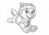 Everest Patrol Paw Coloring Pages Para Colorear Coloriage Clipart Dessin Skye Clip Getcolorings Canina Patrulla Library Pat Patrouille Dibujos Azcoloring sketch template