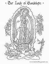 Guadalupe Marian Colouring Hear Virgen Fatima sketch template