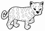 Leopard Coloring Pages Animals Snow Cub Pages2color Printable Getcolorings Color Getdrawings sketch template