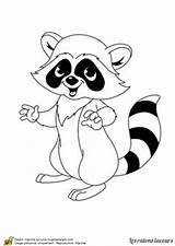Coloring Pages Laveur Raton Dessin Colorier Animals Forest Silhouette Raccoon Et sketch template