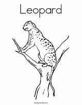 Leopard Coloring Amur Pages Getdrawings sketch template