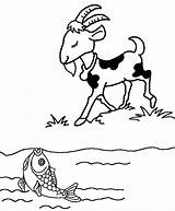 Goat Ziege Ausmalbilder sketch template