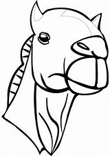Camel Print Coloring Library Clipart Head sketch template