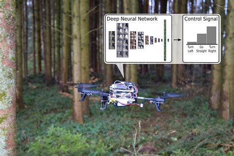 drone  ai  find     forest wired uk