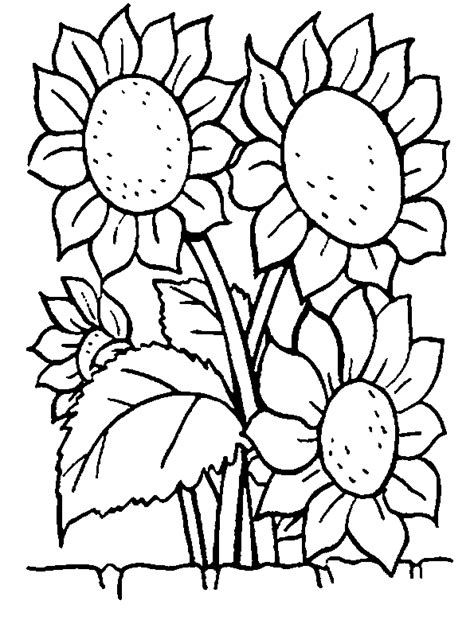 flowers coloring pages coloringpagescom
