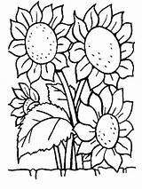 Coloring Pages Flowers Coloringpages1001 sketch template