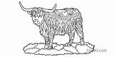 Cow Highland Colouring Mindfulness Cattle Animal Ks1 Mammal Rgb sketch template
