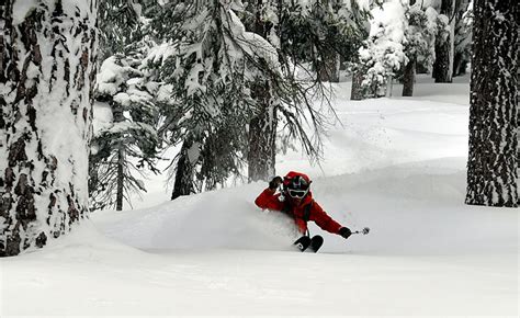 ski passes  college students