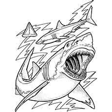 realistic sea animal coloring pages