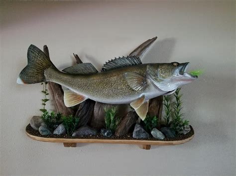 walleye replica general discussion forum  depth outdoors