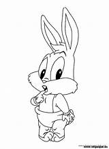 Looney Tunes Mediano sketch template