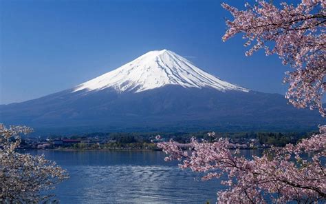 mount fuji   world heritage status telegraph