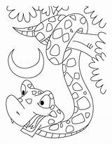 Coloring Pages Python Library Clipart Titanoboa sketch template