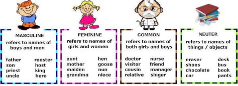 learn  gender nouns  examples eage tutor