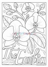 Colouring Gambia Flower National Pages Village Activity Explore Gambian Kids sketch template