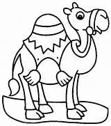 Camel Coloring Pages Colouring Outline Clipart Cartoon Kids Drawing Print Camels Color Transportation Getdrawings Printable Clipartmag Tags Getcolorings Book sketch template