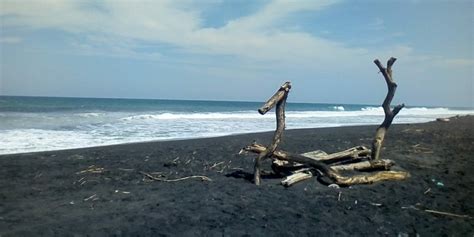 11 Pantai Di Kulon Progo Yang Cantik And Hits Pesisir