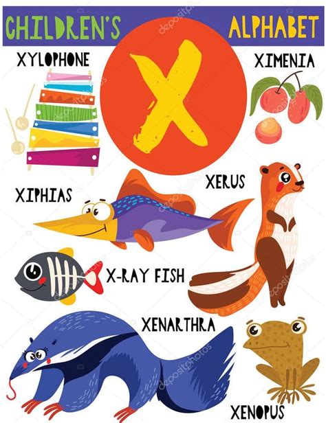 letter xcute childrens alphabet  adorable animals