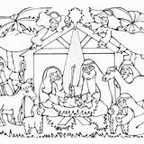 Jesus Born Coloring Birth Drawing Pages Christmas Color Nativity Getcolorings Merry Cute Print Getdrawings Printable sketch template