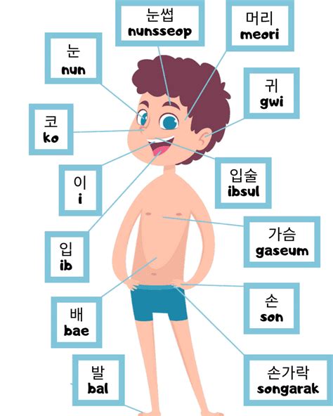human body parts names  korean english learn entry  xxx hot girl