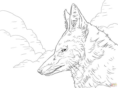 red wolf drawing  getdrawings