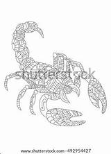 Vector Zentangle Coloring Zodiac Tattoo Scorpion Illustration Style Symbol Shutterstock Adult Lines Lace Pattern Shirt Poster Card Print sketch template
