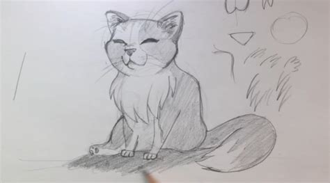 como desenhar um gato passo a passo tutorial completo
