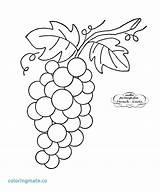 Grape Grapes Vine Embroidery Coloring Patterns Vegetables Printable Clipart Designs Cliparts Vintage Lis Fleur Stitches Templates Pages Fruit Getcolorings Hand sketch template