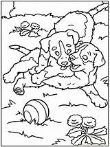 Schnauzer Hunde Ausmalbilder Printable Coloringhome sketch template