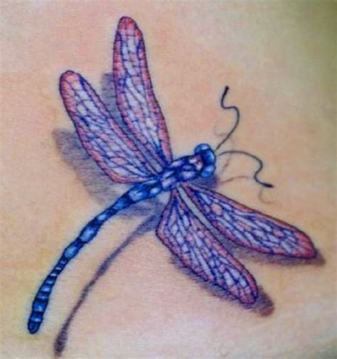 Miss World Of Celebrity News Dragonfly Tattoo