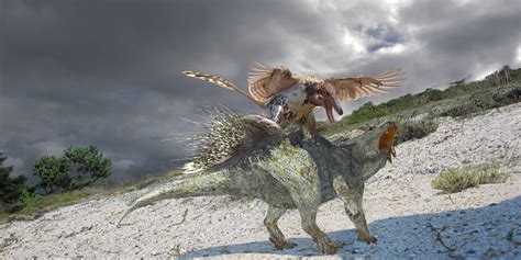 velociraptor  ramoceros  world  animals