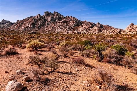 rocky land  dry desert landscape  californias mojave