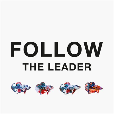 follow  leader brilliant agency social media communications