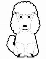 Poodle Coloring Puppy Pages Cartoon Printable Big Clipart Poodles Pretty Template Print Miniature Cliparts Search Kids Library Again Bar Case sketch template