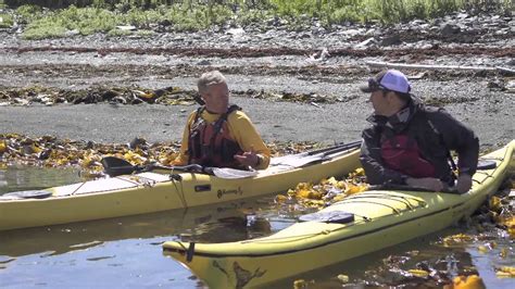 exploring newfoundland   kayak youtube