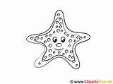 Seestern Ausmalbild Coloring Starfish Malvorlage Titel sketch template
