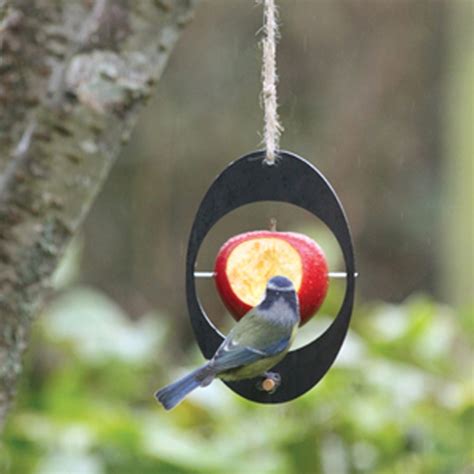 ashortwalk hanging apple bird feeder eco gifts