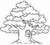Tree Banyan Colouring Pages Color Christmas Getcolorings Coloring sketch template