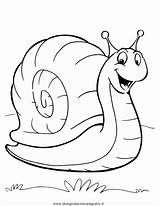 Lumaca Snail Lumache Crayola Snails Gaddynippercrayons Clipartmag sketch template