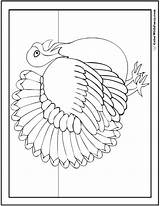 Turkey Coloring Pages Tom Printable Baby Colorwithfuzzy sketch template