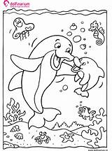 Kleurplaat Dolfijn Kleurplaten Dolfijnen Kleurplaatje Moeder Zoon sketch template