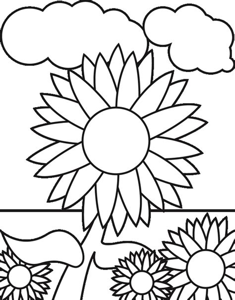 detail gambar bunga matahari    warnai koleksi nomer