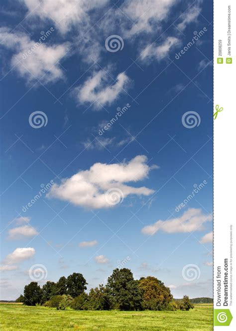 clouds  land stock image image  tree summer