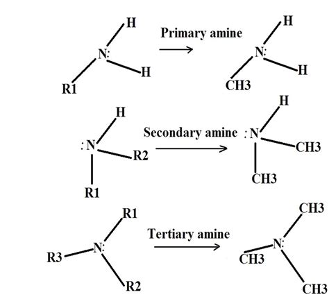 amine characteristics  aliphatic amine   aromatic ring attached    nitrogen atom
