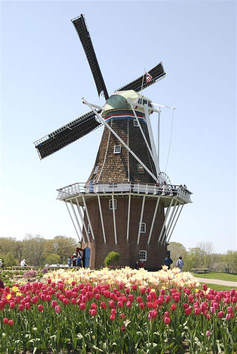 de zwaan windmill photograph  michael peychich fine art america