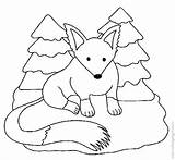 Fox Coloring Pages Snow Color Stone Template Arctic Choose Board sketch template