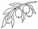 Olive Colouring Pages Olives Coloring Google Search Picolour Alphabet Drawings sketch template